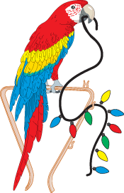 Parrot-strand