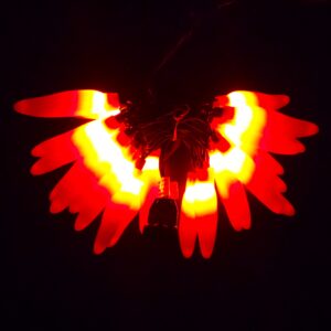 C16025 25 LED Red Chili Pepper Lights bunched Light by RC Company LLC