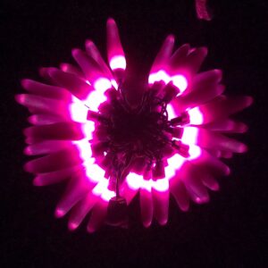 C16650 50 LED Purple Chili Pepper Lights bunched light by RC Company LLC