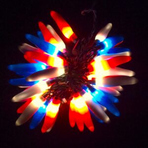 C17050 50 LED Patriotic Chili Pepper Lights bunched light by RC Company LLC