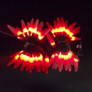 C17450 50 LED Valentine’s Chili Pepper Lights bunched light by RC Company LLC