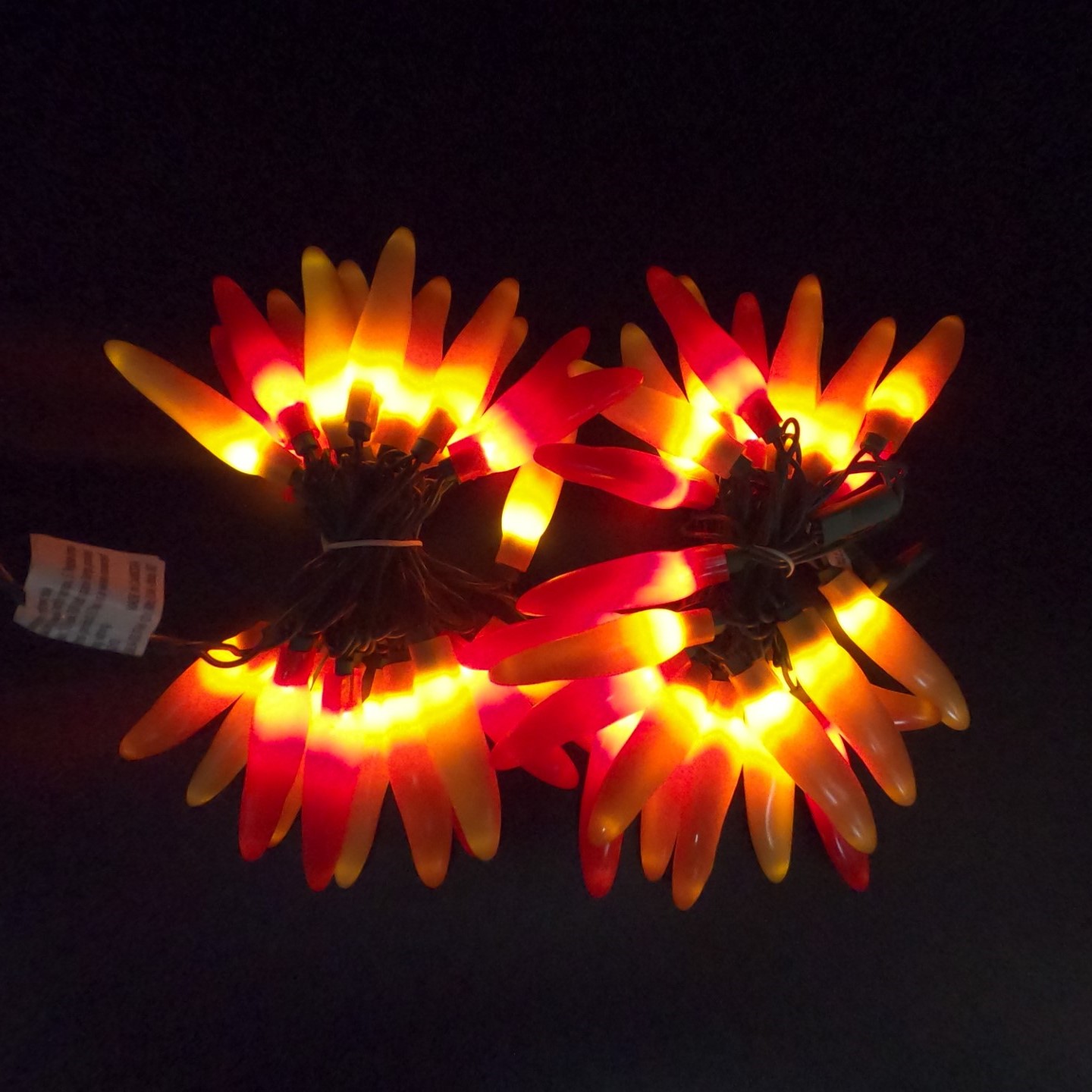 C17950 50 LED Thanksgiving Fall Chili Pepper Lights bunched light by RC Company LLC