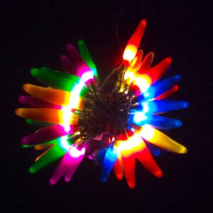 C18225 50 LED Rainbow Chili Pepper Lights bunched light by RC Company LLC