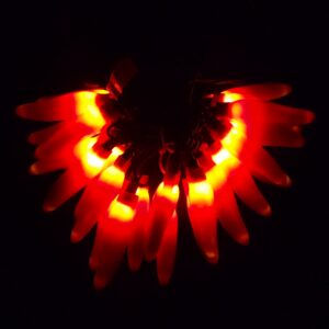 C16525 25 LED Pink Chili Pepper Lights Bunched Light by RC Company LLC