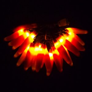 C16725 25 LED Orange Chili Pepper Lights Bunched Light by RC Company LLC