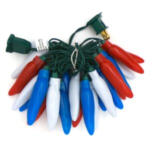 C17025 25 LED Patriotic Chili Pepper Lights Bunched by RC Company LLC