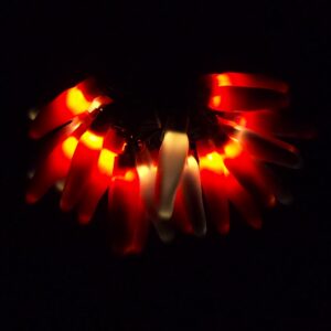 C17725 25 LED Sweetheart Chili Pepper Lights Bunched Light by RC Company LLC