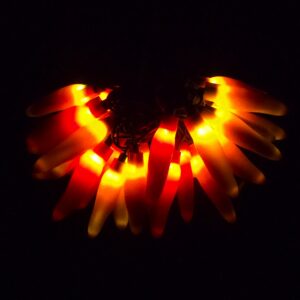 C17925 25 LED Thanksgiving Fall Chili Pepper Lights Bunched Light by RC Company LLC