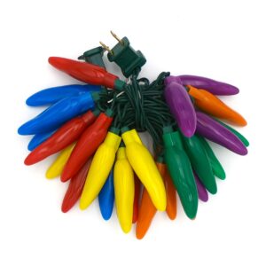 C18225 25 LED Rainbow Chili Pepper Lights Bunched by RC Company LLC