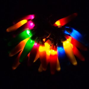 C18225 25 LED Rainbow Chili Pepper Lights Bunched Light by RC Company LLC